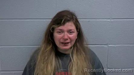 Mugshot of LINDSEY S LYONS