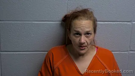 Mugshot of SHANNON N LESLIE booked in Cleburne County, Arkansas on March 30, 2026