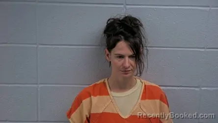 Mugshot of Ashley N Mckinney booked in Cleburne County, Arkansas on September 8, 2026