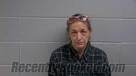 Booking photo from Cleburne County, Arkansas