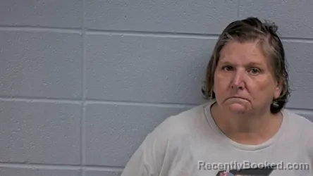 Mugshot of ZINA B MCNUTT booked in Cleburne County, Arkansas on July 31, 2026