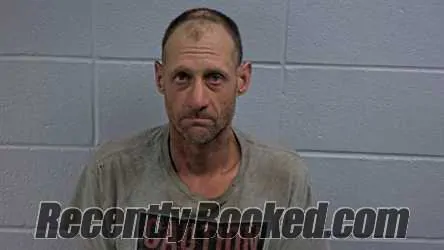 Booking photo from Cleburne County, Arkansas