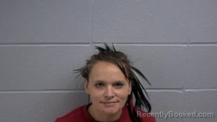 Mugshot of HEATHER L PATTERSON