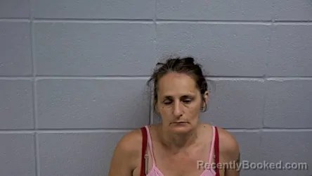 Mugshot of VERONICA J PERRY booked in Cleburne County, Arkansas on May 10, 2026