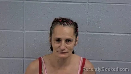 Mugshot of VERONICA J PERRY booked in Cleburne County, Arkansas on July 12, 2026