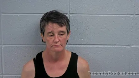 Mugshot of BRITNI J RANDLE booked in Cleburne County, Arkansas on July 2, 2026