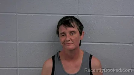 Mugshot of BRITNI J RANDLE booked in Cleburne County, Arkansas on July 17, 2026