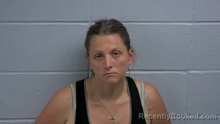 Mugshot of Clarissa L Stair booked in Cleburne County, Arkansas on August 14, 2026