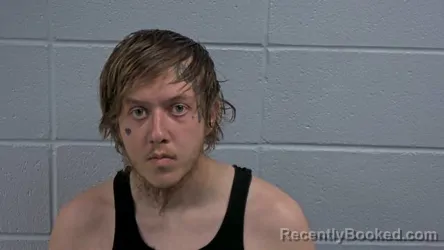 Mugshot of DYLAN A STIVERS