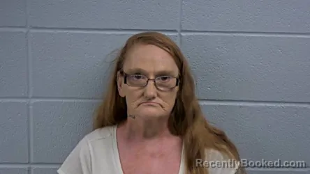 Mugshot of Kimberly D Sanders booked in Cleburne County, Arkansas on August 6, 2026