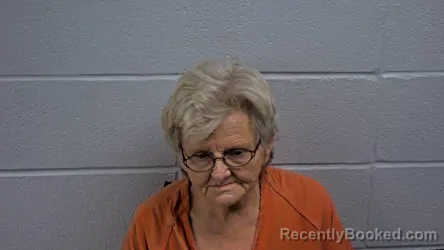 Mugshot of LISA A THOMAS booked in Cleburne County, Arkansas on April 21, 2026