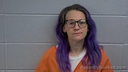 Mugshot of LISA A VAUGHN