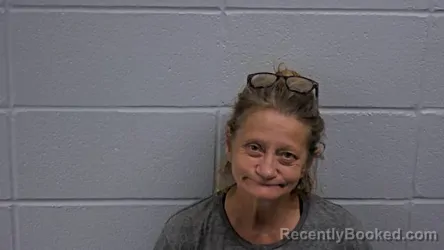 Mugshot of Kelly L Wilson booked in Cleburne County, Arkansas on October 14, 2026