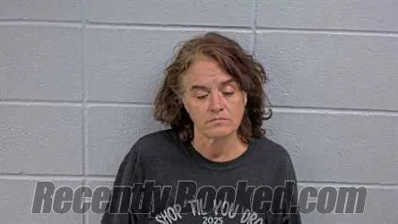 Booking photo from Cleburne County, Arkansas