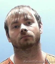 Mugshot of BRANDON DAVIS