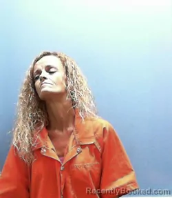 Mugshot of BRENDA L FINCHER