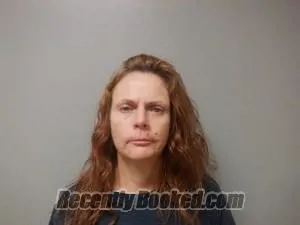 Booking photo from Craighead County, Arkansas