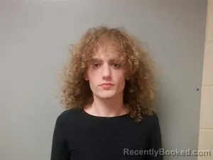 Booking photo from Craighead County, Arkansas