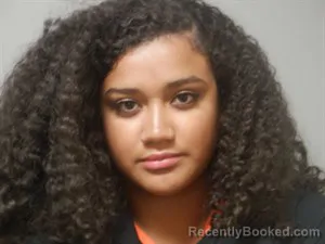 Booking photo from Craighead County, Arkansas