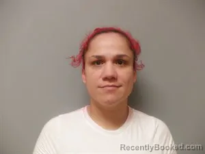 Mugshot of Elizabeth Ann Rivera
