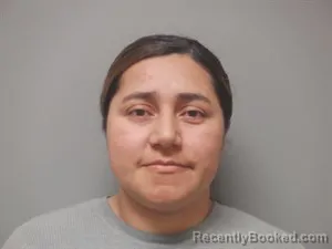 Mugshot of Heditza Rosemary Rodriguez