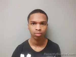 Mugshot of Taylan Chase Webb