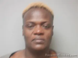 Mugshot of Lawanda Denise Mcgowan