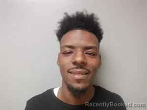 Mugshot of Steven L Brimlett