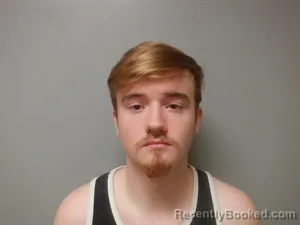 Mugshot of Gabriel Cobb