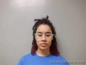 Mugshot of Kursheena Regina Williams