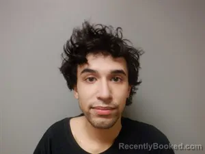 Booking photo from Craighead County, Arkansas