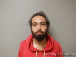 Mugshot of Trey Michael Harper