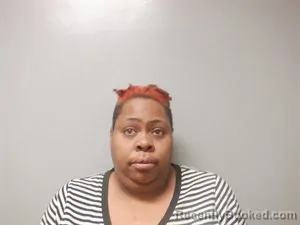 Mugshot of Angelica Roshalle Shields-Evans