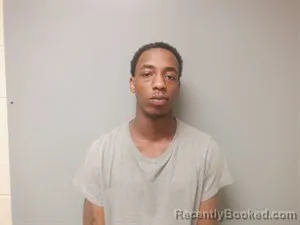 Mugshot of Terrence Lavon Triggs