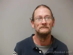 Mugshot of Shannon Ashley Cook