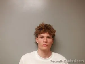 Mugshot of Christian Roberts Williams booked in Craighead County, Arkansas on March 7, 2026