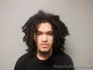 Mugshot of Dwanye Stevenson booked in Craighead County, Arkansas on March 11, 2026