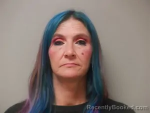 Mugshot of Virginia Lynn Hunter