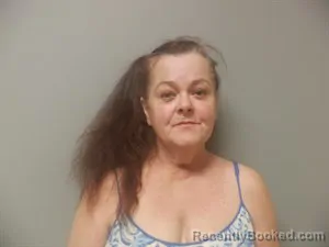 Mugshot of Paula Christine Adamson booked in Craighead County, Arkansas on March 27, 2026