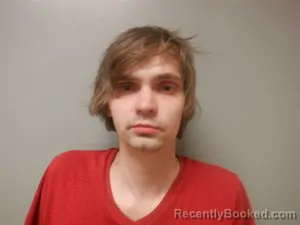 Mugshot of Joshua Dmitri Wierzbowski booked in Craighead County, Arkansas on March 29, 2026