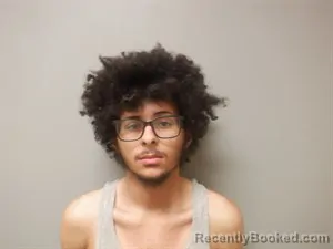 Mugshot of Cade Owen Roark booked in Craighead County, Arkansas on March 29, 2026