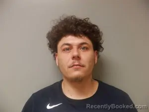 Mugshot of Tyler Michael Phillips booked in Craighead County, Arkansas on April 2, 2026