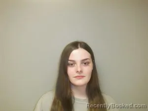 Mugshot of Haley Nicole Stormes booked in Craighead County, Arkansas on April 4, 2026