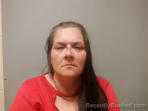 Mugshot of Melissa Dawn Cook booked in Craighead County, Arkansas on April 5, 2026