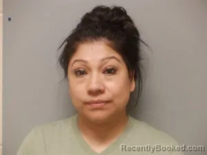 Mugshot of Nora Nelly Gomez booked in Craighead County, Arkansas on April 25, 2026