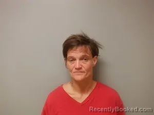 Mugshot of Delina Leeann Stevens booked in Craighead County, Arkansas on June 13, 2026