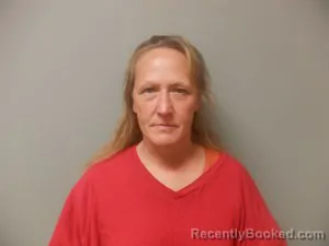 Mugshot of Jolynda Sue Elrod booked in Craighead County, Arkansas on June 16, 2026