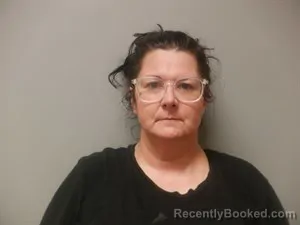 Mugshot of Lee Ann Fortson-Stanfill booked in Craighead County, Arkansas on June 18, 2026