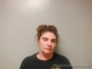 Mugshot of Danielle Nicole Harris booked in Craighead County, Arkansas on June 28, 2026