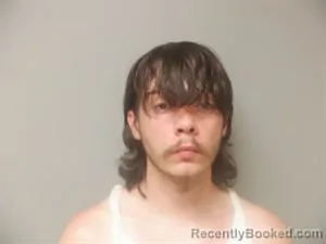 Mugshot of Zakary Swanson booked in Craighead County, Arkansas on June 29, 2026